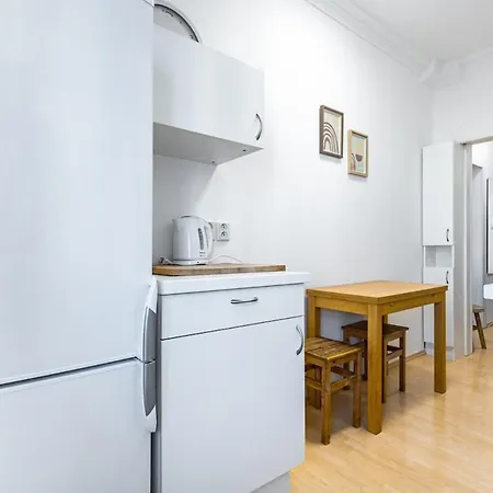公寓 Free Parking - Adm Warm Spacious In Center, Coffee, Ac, Wifi 布拉迪斯拉发